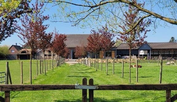 house for sale, 703 m², Niederkrüchten, North Rhine-Westphalia house for sale, 703 m², Niederkrüchten, North Rhine-Westphalia