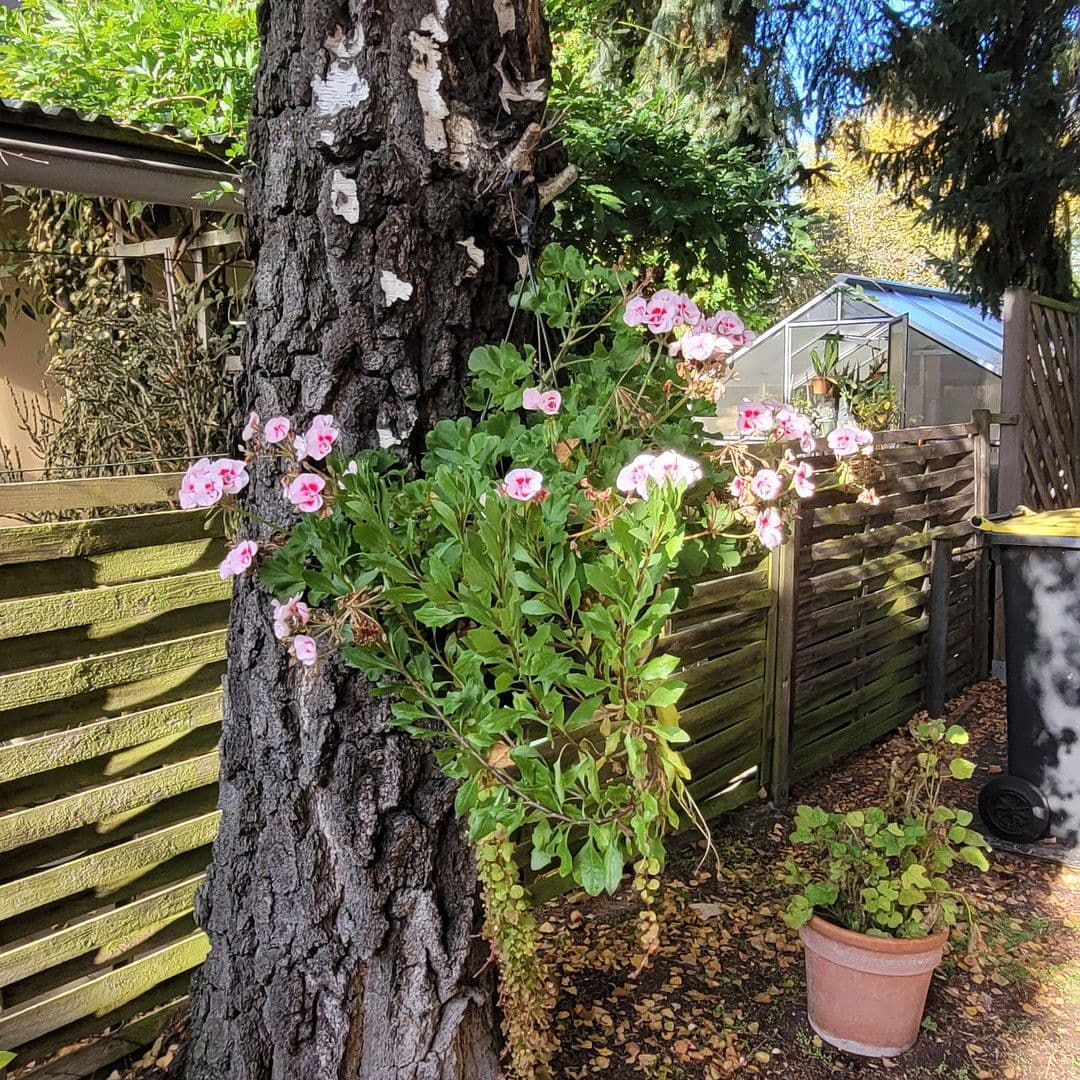 house for sale, 162 m², Berlin, Berlin house for sale, 162 m², Berlin, Berlin