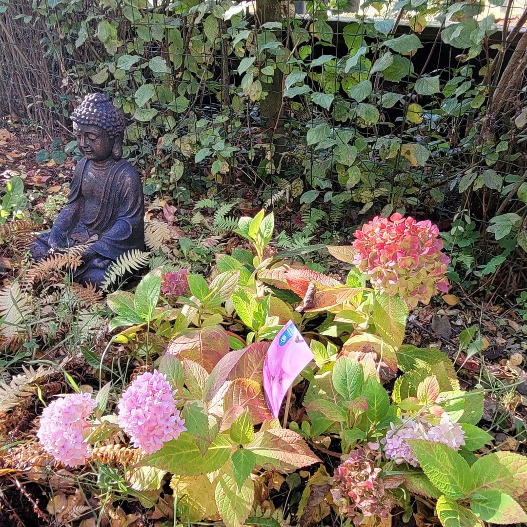 house for sale, 162 m², Berlin, Berlin house for sale, 162 m², Berlin, Berlin