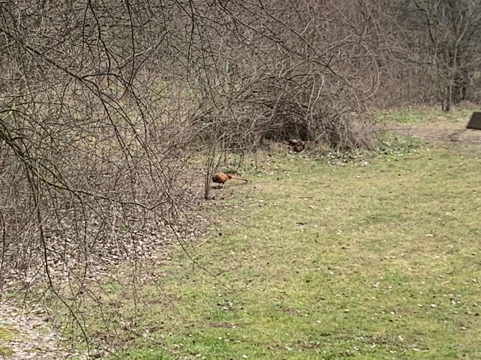 3 bedroom flat to rent, 74 m², Vazovova, Prague, Prague 3 bedroom flat to rent, 74 m², Vazovova, Prague, Prague