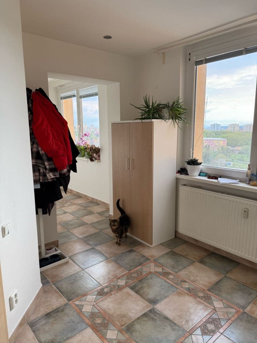 1 bedroom with open-plan kitchen flat for sale, 68 m², Štúrova, Prague, Prague 1 bedroom with open-plan kitchen flat for sale, 68 m², Štúrova, Prague, Prague