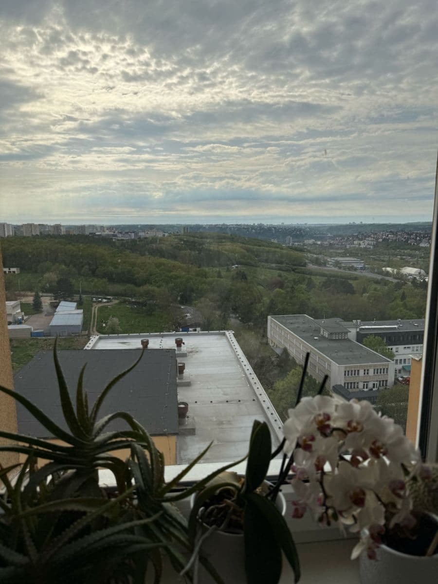 1 bedroom with open-plan kitchen flat for sale, 68 m², Štúrova, Prague, Prague 1 bedroom with open-plan kitchen flat for sale, 68 m², Štúrova, Prague, Prague