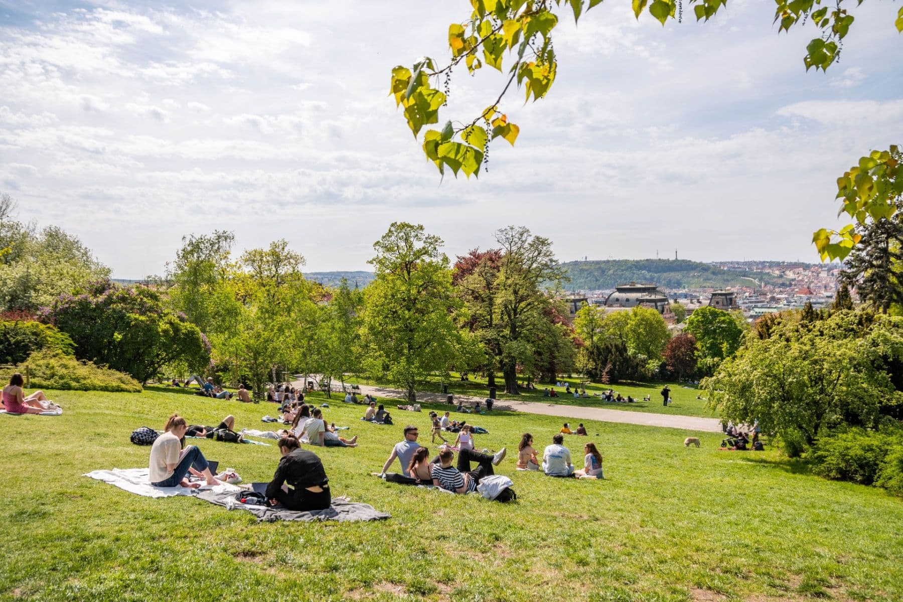 Studio flat to rent, 25 m², Lucemburská, Prague, Prague Studio flat to rent, 25 m², Lucemburská, Prague, Prague