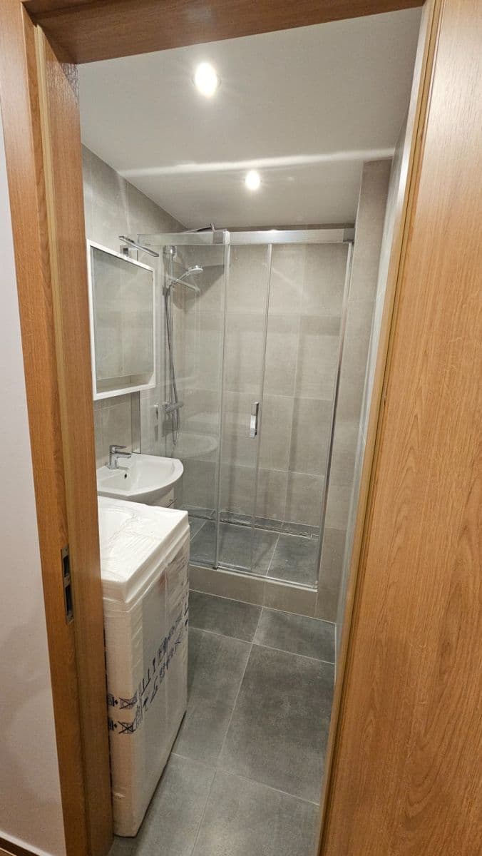 1 bedroom with open-plan kitchen flat to rent, 45 m², Bellušova, Prague, Prague 1 bedroom with open-plan kitchen flat to rent, 45 m², Bellušova, Prague, Prague