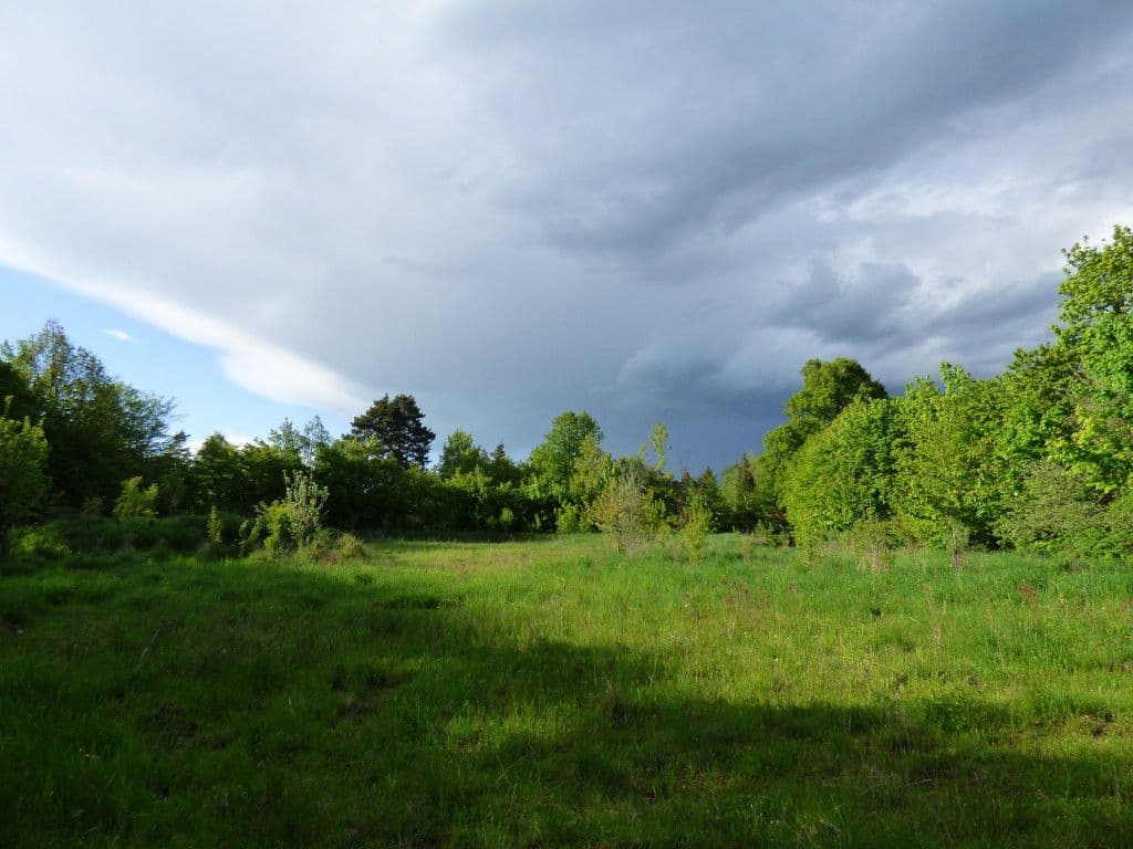 plot for sale, 7,636 m², Dobřeň, Středočeský Region plot for sale, 7,636 m², Dobřeň, Středočeský Region