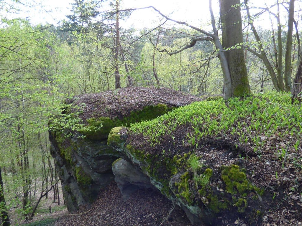 plot for sale, 7,636 m², Dobřeň, Středočeský Region plot for sale, 7,636 m², Dobřeň, Středočeský Region