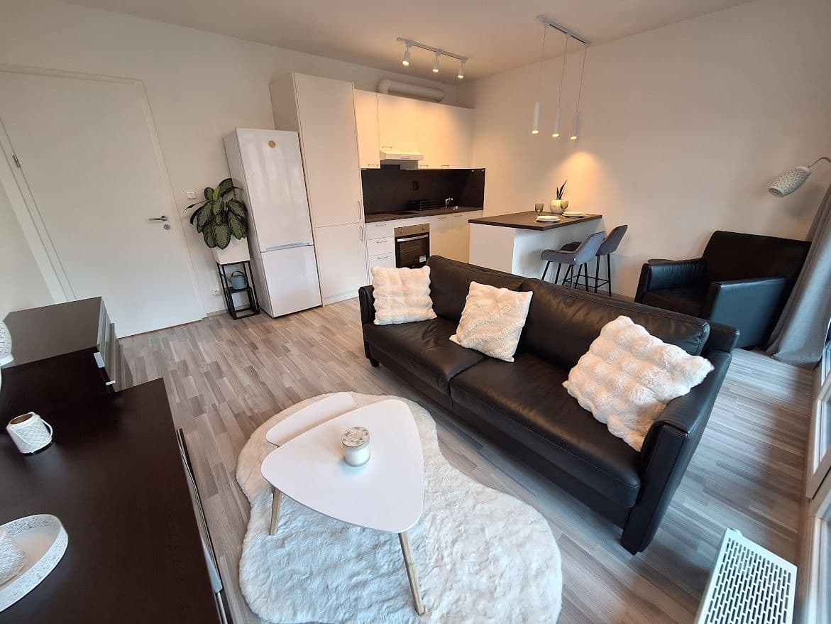 1 bedroom with open-plan kitchen flat to rent, 54 m², Huppnerova, Prague, Prague 1 bedroom with open-plan kitchen flat to rent, 54 m², Huppnerova, Prague, Prague