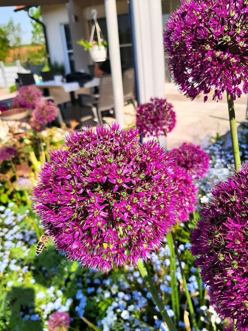 house for sale, 179 m², Reckendorf, Bavaria house for sale, 179 m², Reckendorf, Bavaria