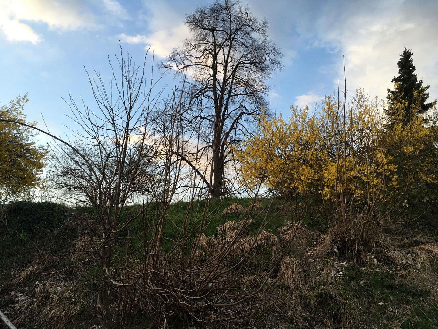 house for sale, 150 m², Am Osterbichl 1, Murnau am Staffelsee, Bavaria house for sale, 150 m², Am Osterbichl 1, Murnau am Staffelsee, Bavaria