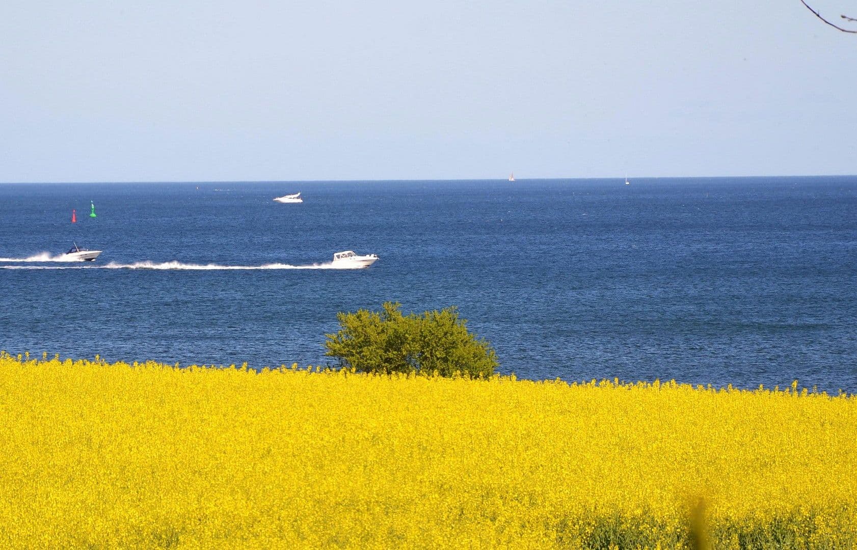 house for sale, 70 m², Brodersby, Schleswig-Holstein house for sale, 70 m², Brodersby, Schleswig-Holstein