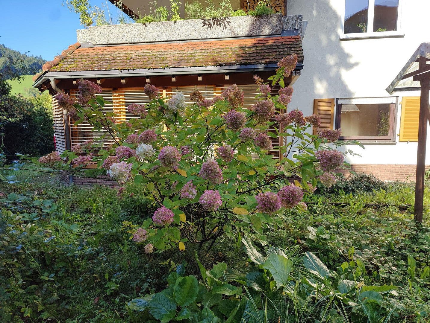 3 bedroom with open-plan kitchen flat for sale, 152 m², Waldkirch, Baden-Württemberg 3 bedroom with open-plan kitchen flat for sale, 152 m², Waldkirch, Baden-Württemberg