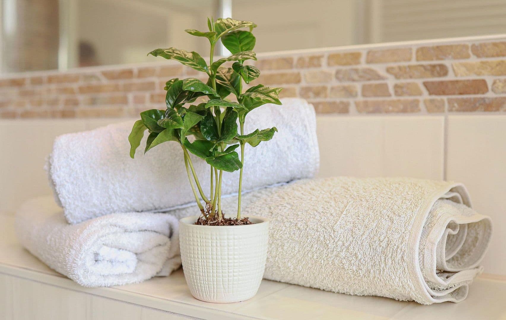 house for sale, 144 m², Schwielowsee, Brandenburg house for sale, 144 m², Schwielowsee, Brandenburg