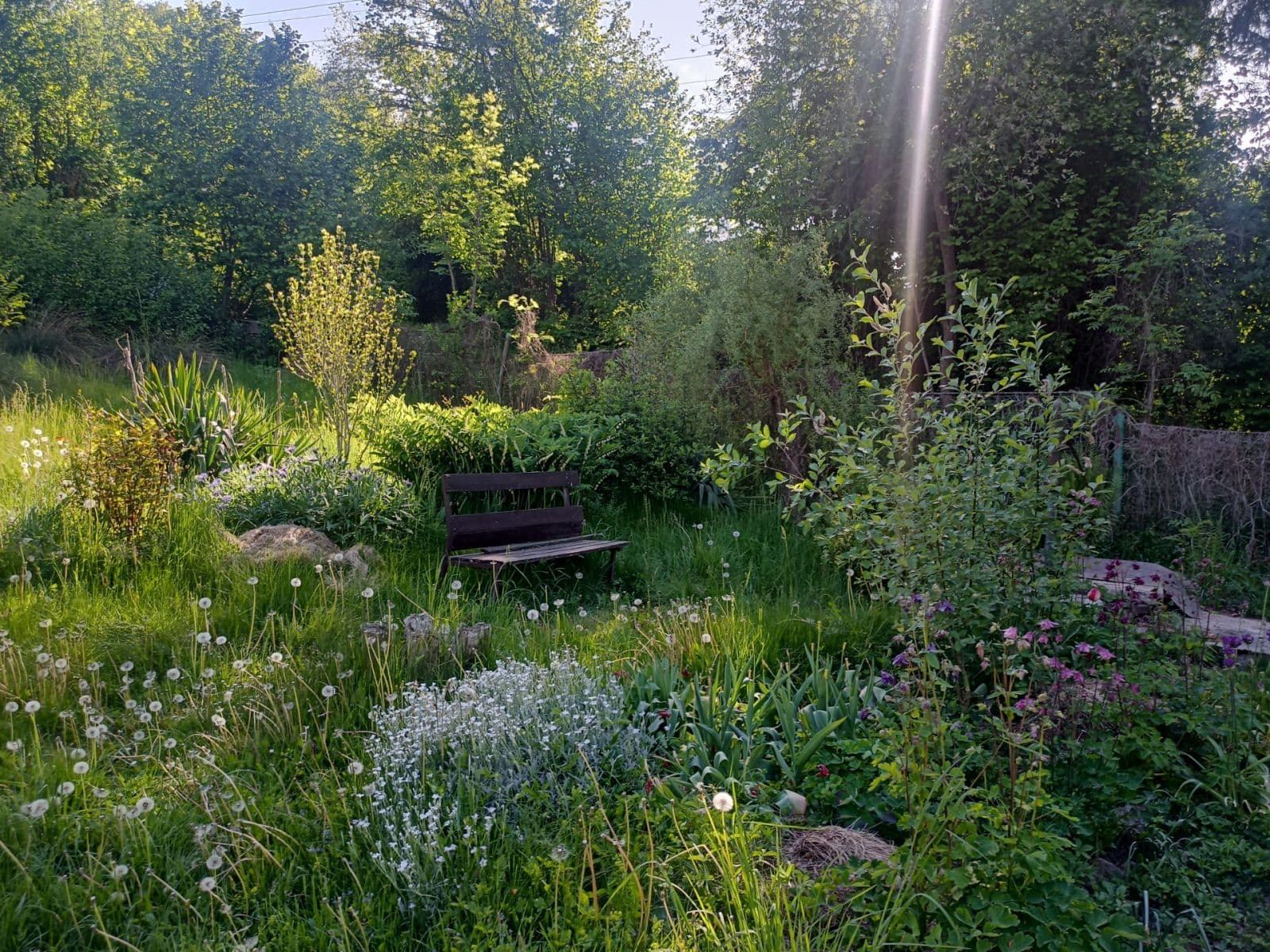 1 bedroom flat to rent, 43 m², U Vápenice, Prague, Prague 1 bedroom flat to rent, 43 m², U Vápenice, Prague, Prague