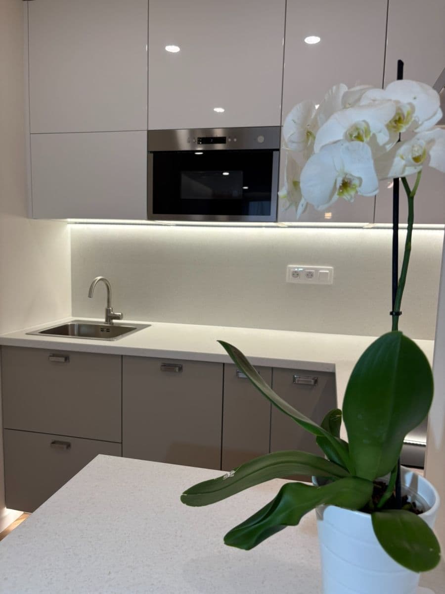 1 bedroom with open-plan kitchen flat for sale, 43 m², Plickova, Prague, Prague 1 bedroom with open-plan kitchen flat for sale, 43 m², Plickova, Prague, Prague