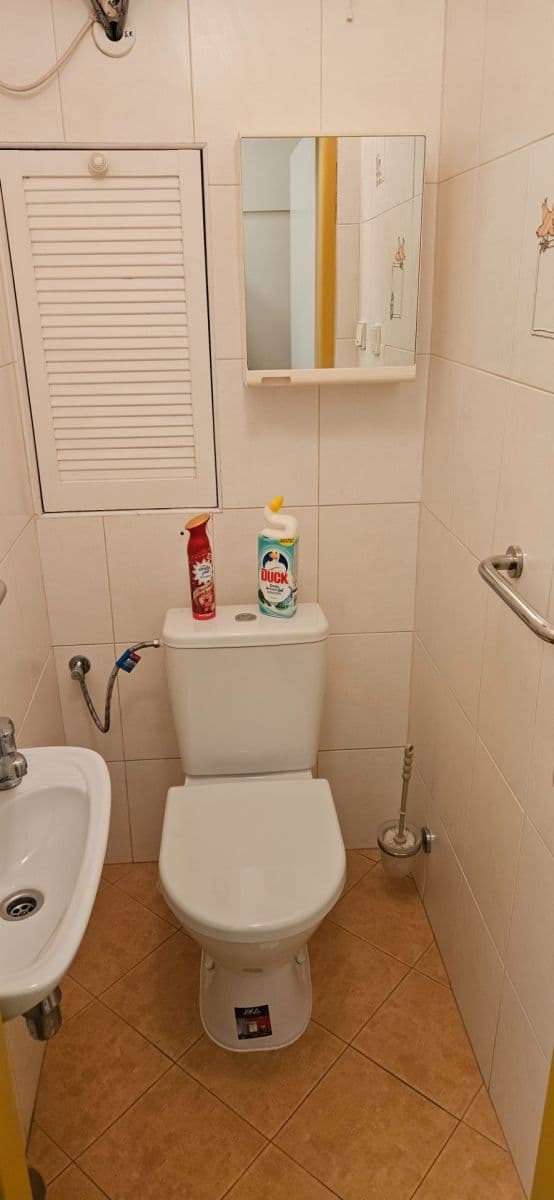 3 bedroom with open-plan kitchen flat to rent, 78 m², Hrusická, Prague, Prague 3 bedroom with open-plan kitchen flat to rent, 78 m², Hrusická, Prague, Prague