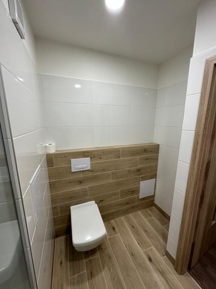 1 bedroom with open-plan kitchen flat to rent, 45 m², Nechvílova, Prague, Prague 1 bedroom with open-plan kitchen flat to rent, 45 m², Nechvílova, Prague, Prague