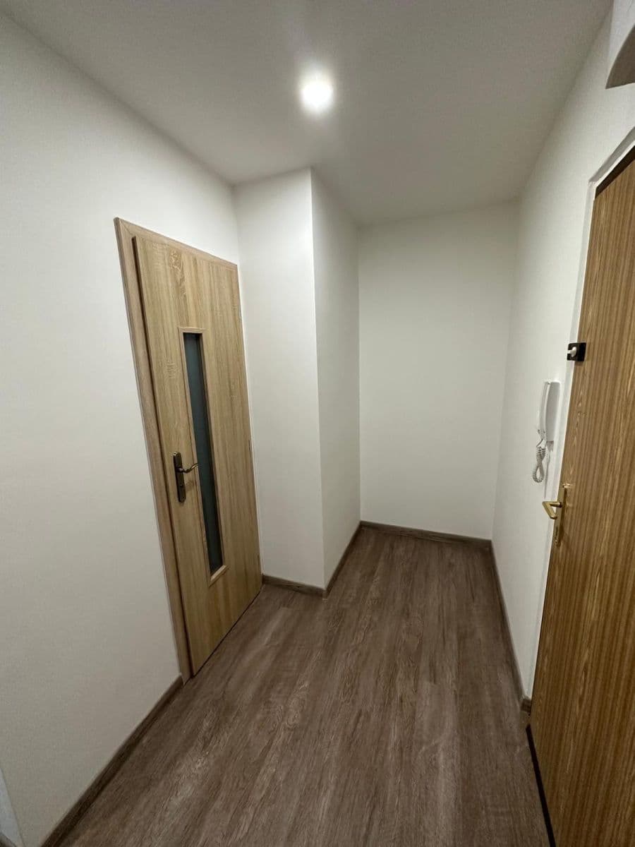 1 bedroom with open-plan kitchen flat to rent, 45 m², Nechvílova, Prague, Prague 1 bedroom with open-plan kitchen flat to rent, 45 m², Nechvílova, Prague, Prague