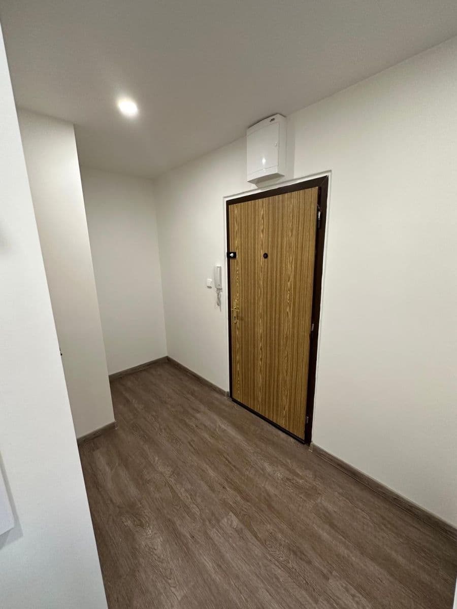 1 bedroom with open-plan kitchen flat to rent, 45 m², Nechvílova, Prague, Prague 1 bedroom with open-plan kitchen flat to rent, 45 m², Nechvílova, Prague, Prague