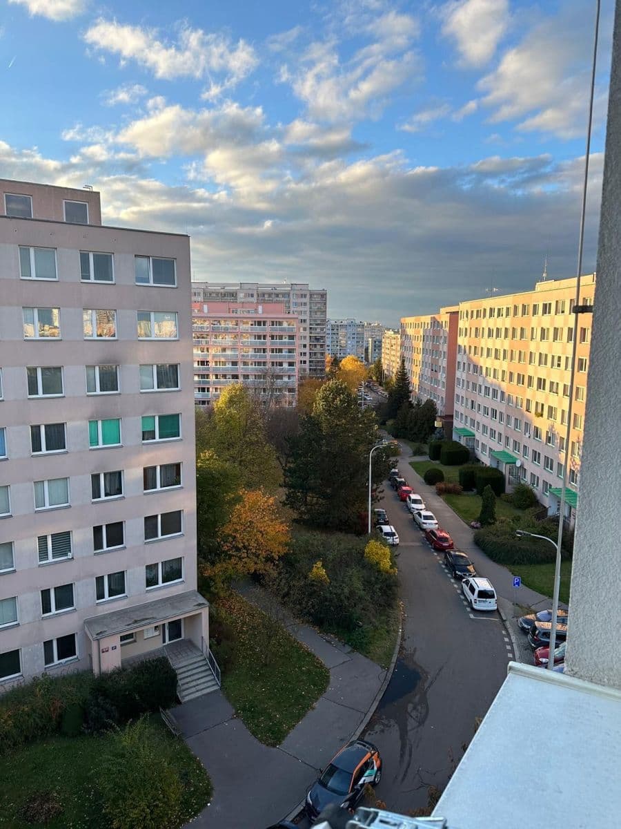 1 bedroom with open-plan kitchen flat to rent, 45 m², Nechvílova, Prague, Prague 1 bedroom with open-plan kitchen flat to rent, 45 m², Nechvílova, Prague, Prague