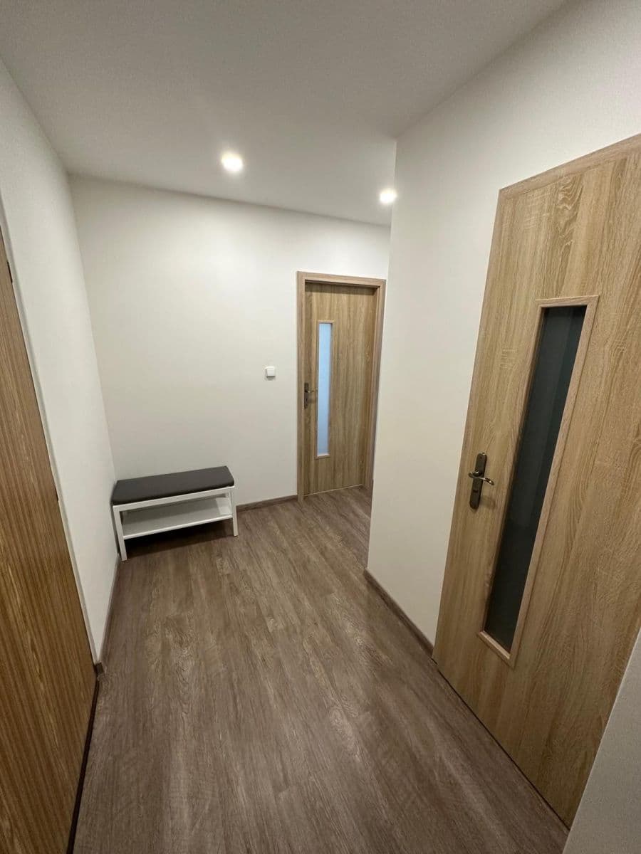 1 bedroom with open-plan kitchen flat to rent, 45 m², Nechvílova, Prague, Prague 1 bedroom with open-plan kitchen flat to rent, 45 m², Nechvílova, Prague, Prague