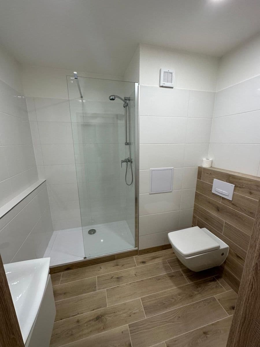 1 bedroom with open-plan kitchen flat to rent, 45 m², Nechvílova, Prague, Prague 1 bedroom with open-plan kitchen flat to rent, 45 m², Nechvílova, Prague, Prague