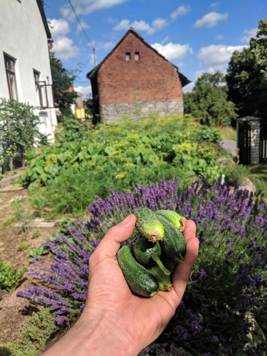 recreational property for sale, 670 m², Kolinec, Plzeňský Region recreational property for sale, 670 m², Kolinec, Plzeňský Region