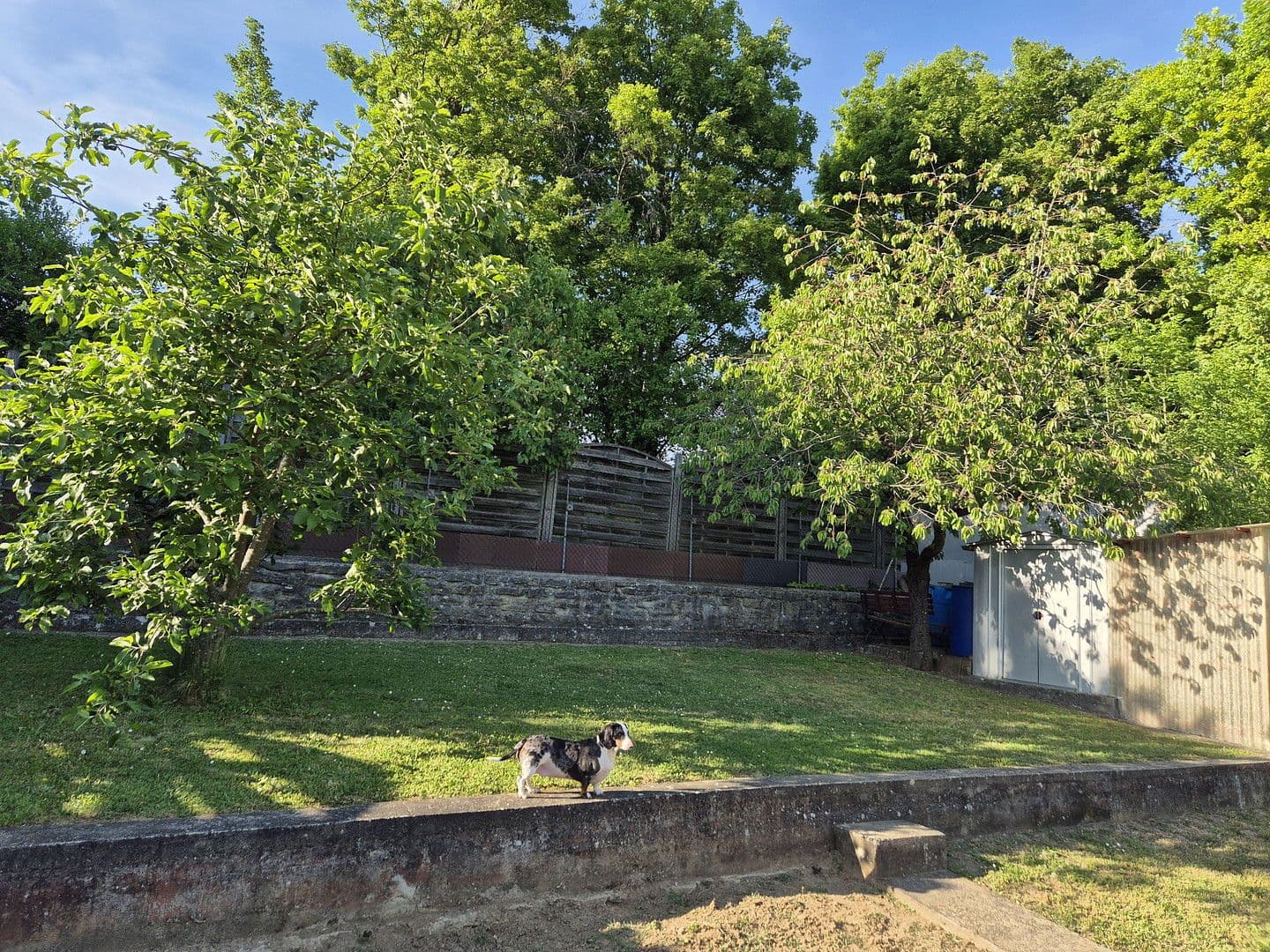 house for sale, 183 m², Adelsheim, Baden-Württemberg house for sale, 183 m², Adelsheim, Baden-Württemberg