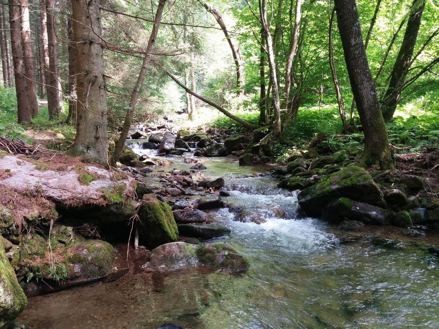 house for sale, 255 m², Klaffer am Hochficht, Upper Austria house for sale, 255 m², Klaffer am Hochficht, Upper Austria