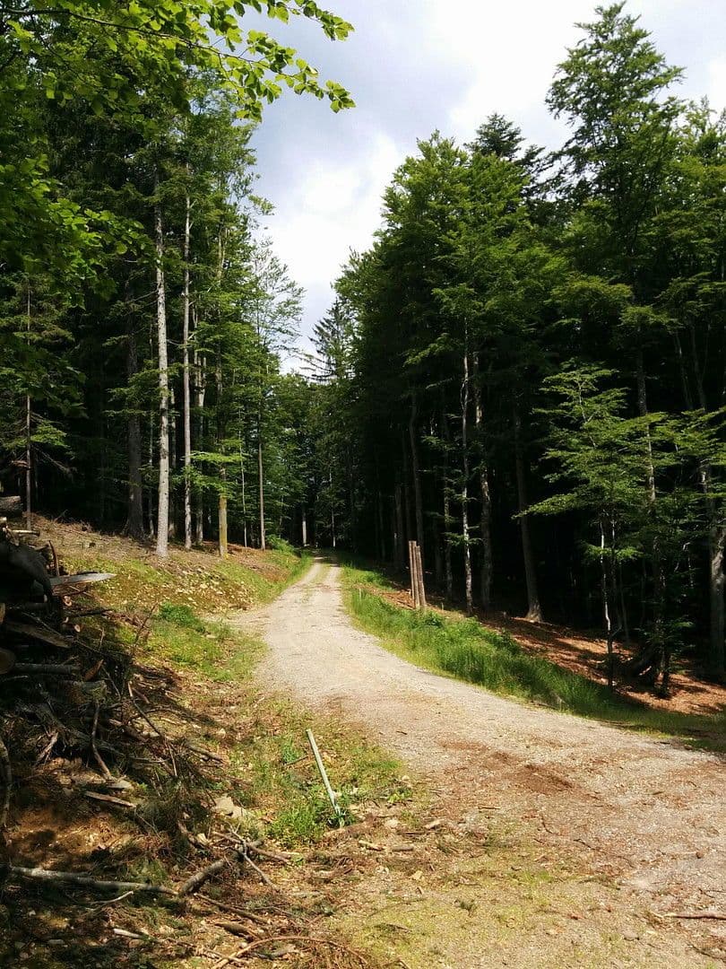 house for sale, 255 m², Klaffer am Hochficht, Upper Austria house for sale, 255 m², Klaffer am Hochficht, Upper Austria