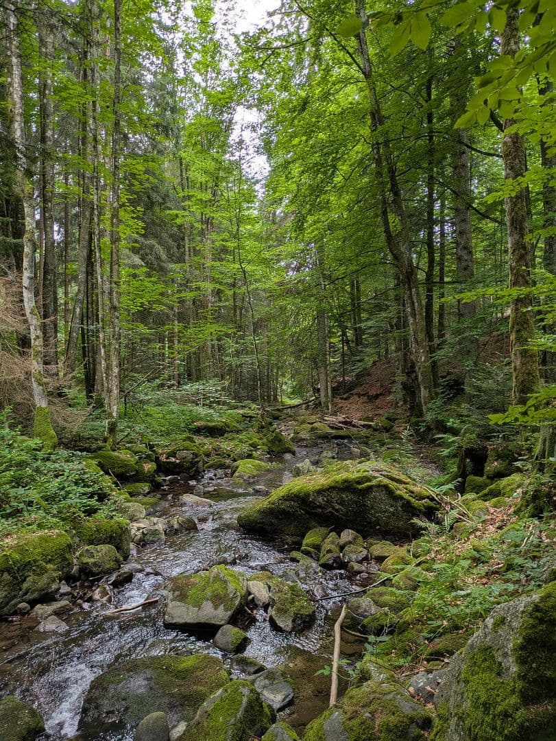 house for sale, 255 m², Klaffer am Hochficht, Upper Austria house for sale, 255 m², Klaffer am Hochficht, Upper Austria