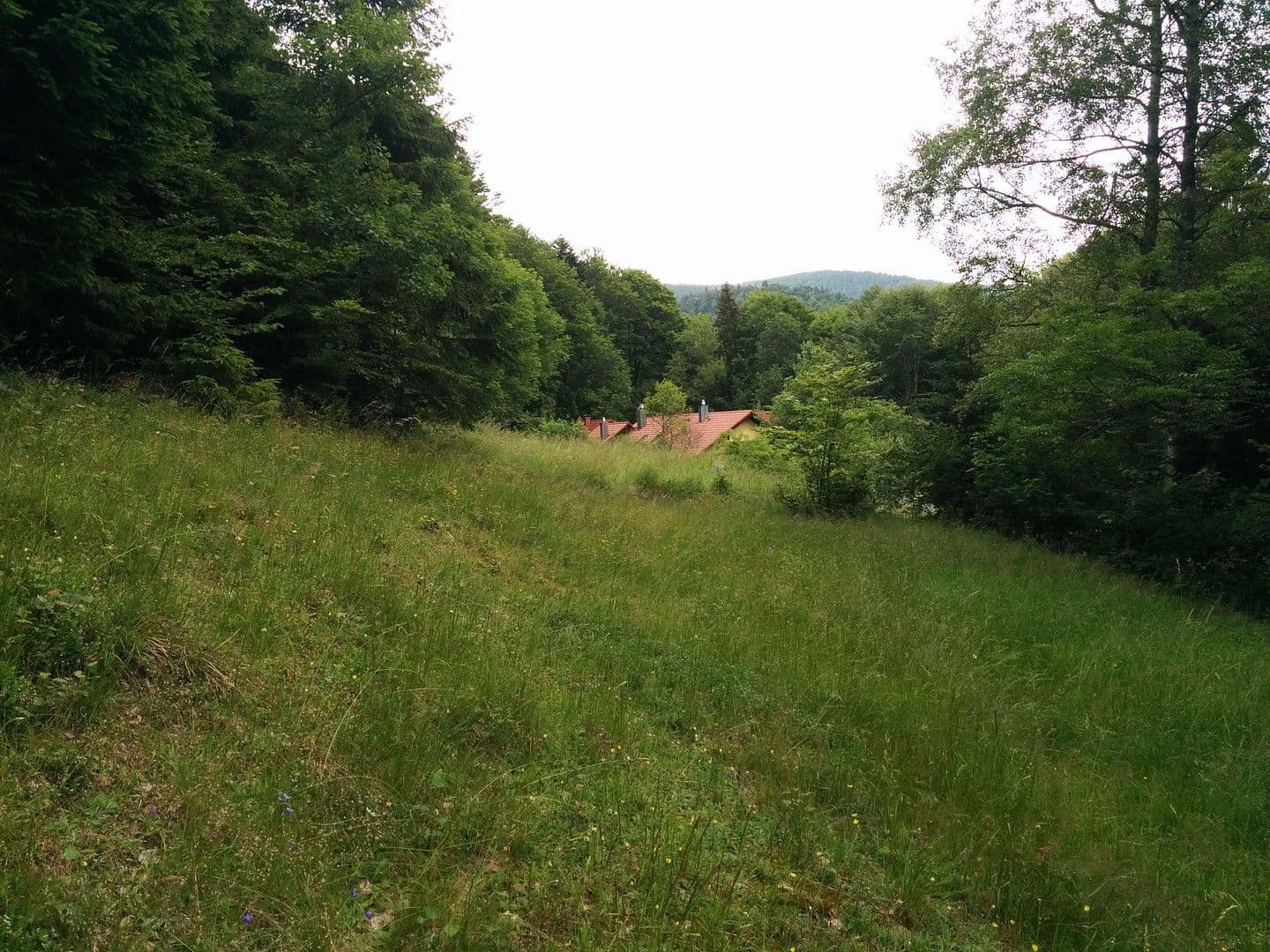 house for sale, 255 m², Klaffer am Hochficht, Upper Austria house for sale, 255 m², Klaffer am Hochficht, Upper Austria