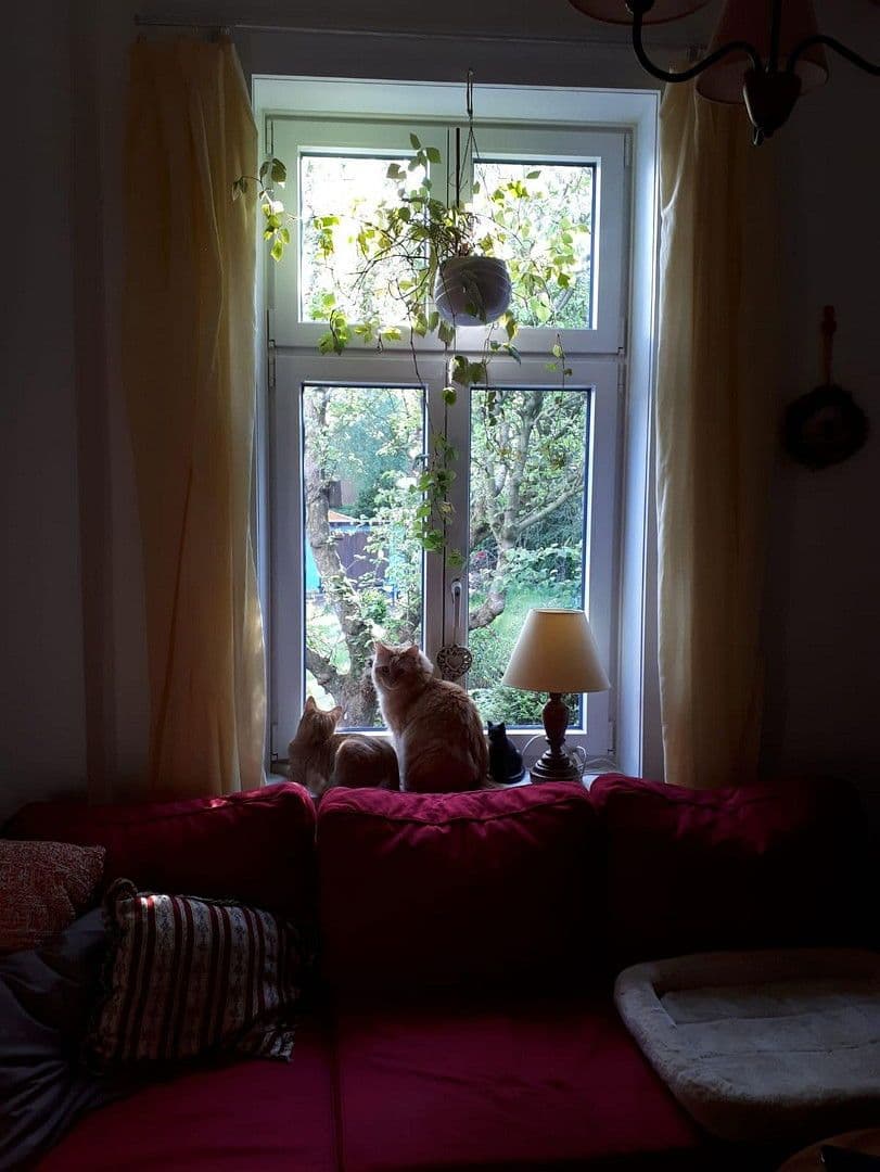 house for sale, 150 m², Hamburg, Hamburg house for sale, 150 m², Hamburg, Hamburg