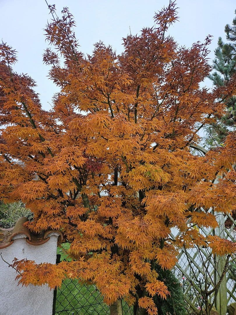 house for sale, 132 m², Dasing, Bavaria house for sale, 132 m², Dasing, Bavaria