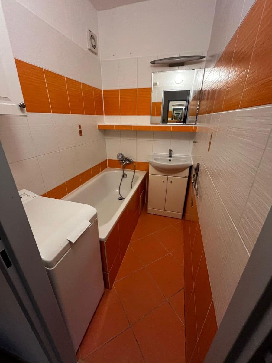 1 bedroom with open-plan kitchen flat to rent, 46 m², Milánská, Prague, Prague 1 bedroom with open-plan kitchen flat to rent, 46 m², Milánská, Prague, Prague