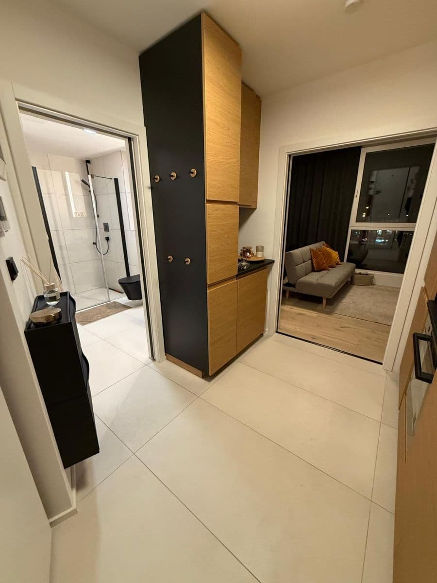 1 bedroom with open-plan kitchen flat to rent, 34 m², Krymská, Prague, Prague 1 bedroom with open-plan kitchen flat to rent, 34 m², Krymská, Prague, Prague