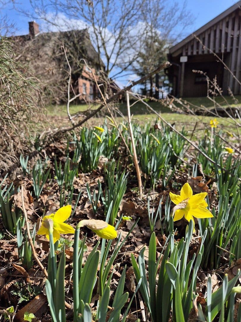 house for sale, 285 m², Dobin am See, Mecklenburg-Vorpommern house for sale, 285 m², Dobin am See, Mecklenburg-Vorpommern