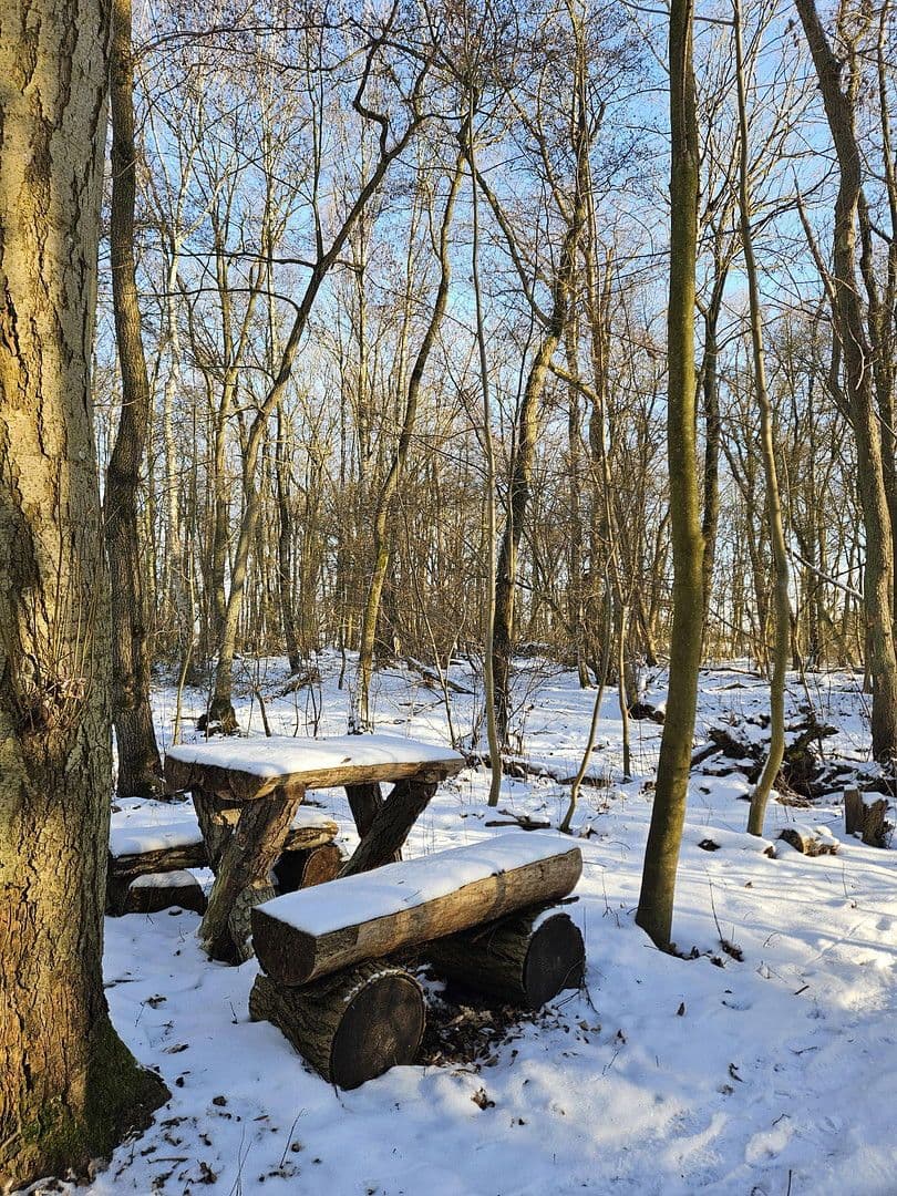 house for sale, 285 m², Dobin am See, Mecklenburg-Vorpommern house for sale, 285 m², Dobin am See, Mecklenburg-Vorpommern