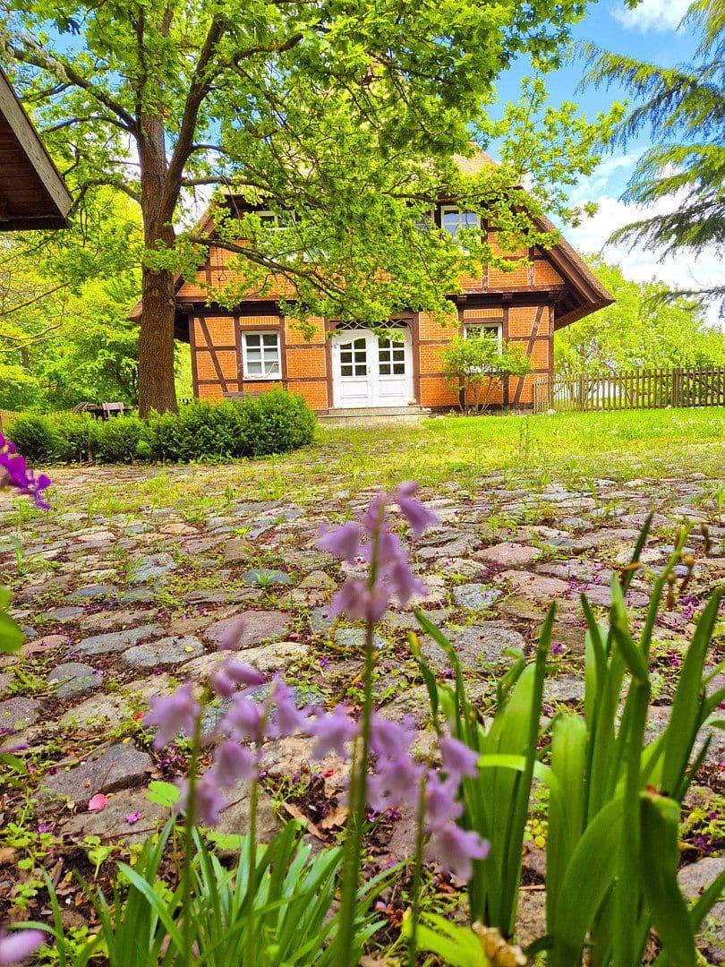 house for sale, 285 m², Ringstraße 8b, Dobin am See, Mecklenburg-Vorpommern house for sale, 285 m², Ringstraße 8b, Dobin am See, Mecklenburg-Vorpommern