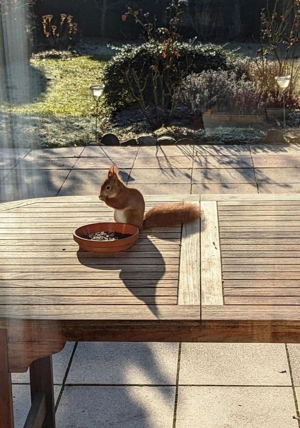 house for sale, 140 m², Hanover, Lower Saxony house for sale, 140 m², Hanover, Lower Saxony