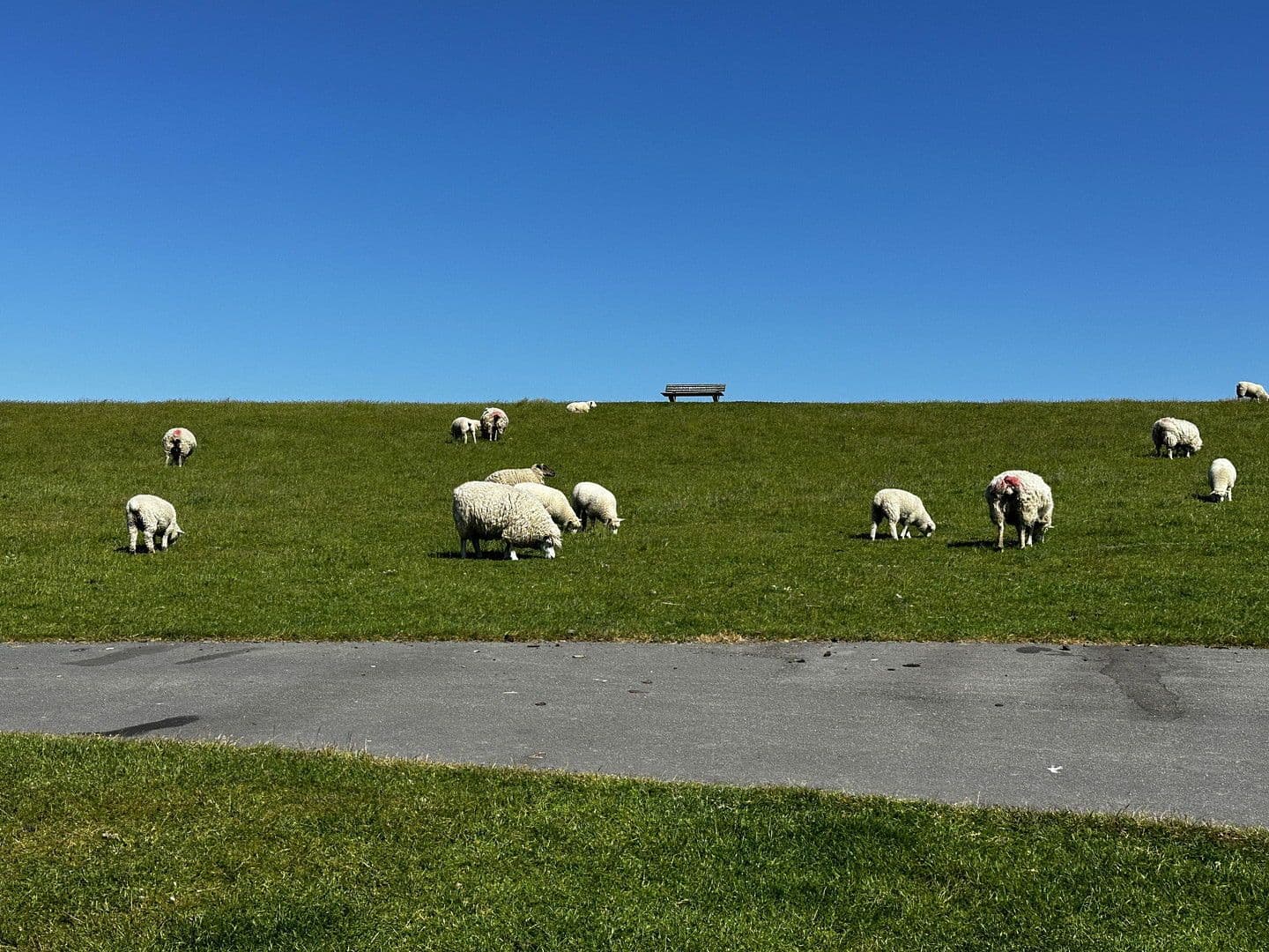 house for sale, 76 m², Wesselburenerkoog, Schleswig-Holstein house for sale, 76 m², Wesselburenerkoog, Schleswig-Holstein