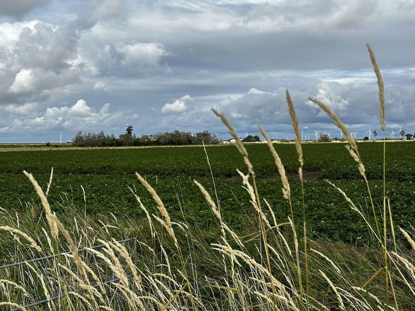 house for sale, 76 m², Wesselburenerkoog, Schleswig-Holstein house for sale, 76 m², Wesselburenerkoog, Schleswig-Holstein