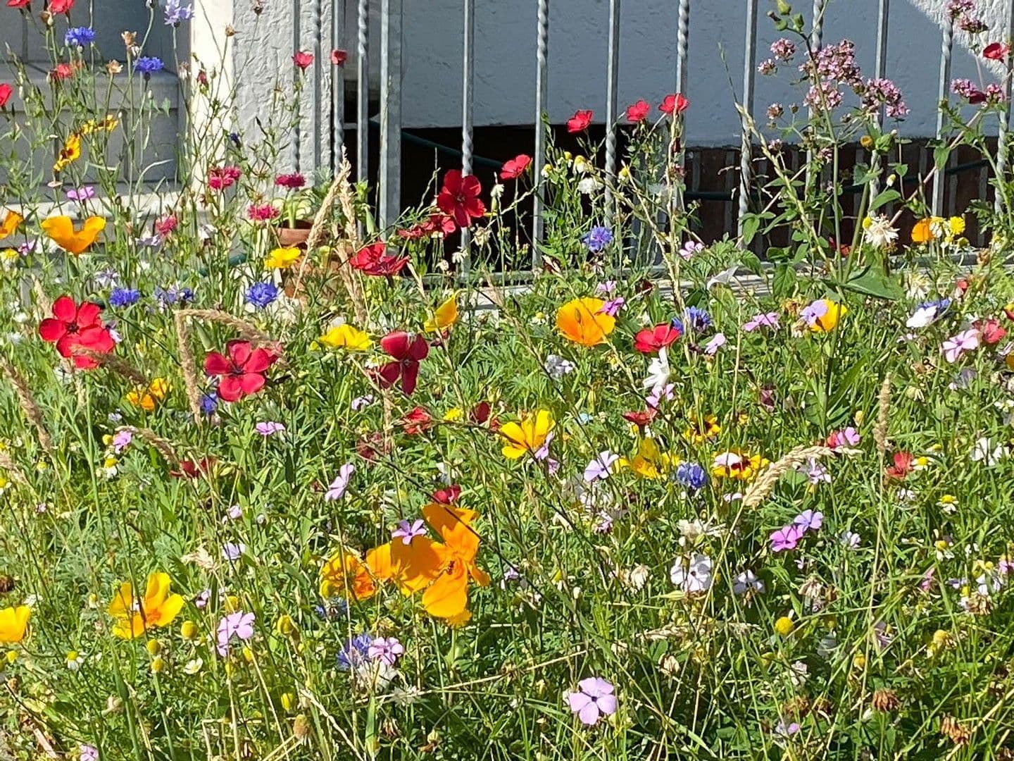 3 bedroom flat to rent, 80 m², Köln-Merheim, North Rhine-Westphalia 3 bedroom flat to rent, 80 m², Köln-Merheim, North Rhine-Westphalia