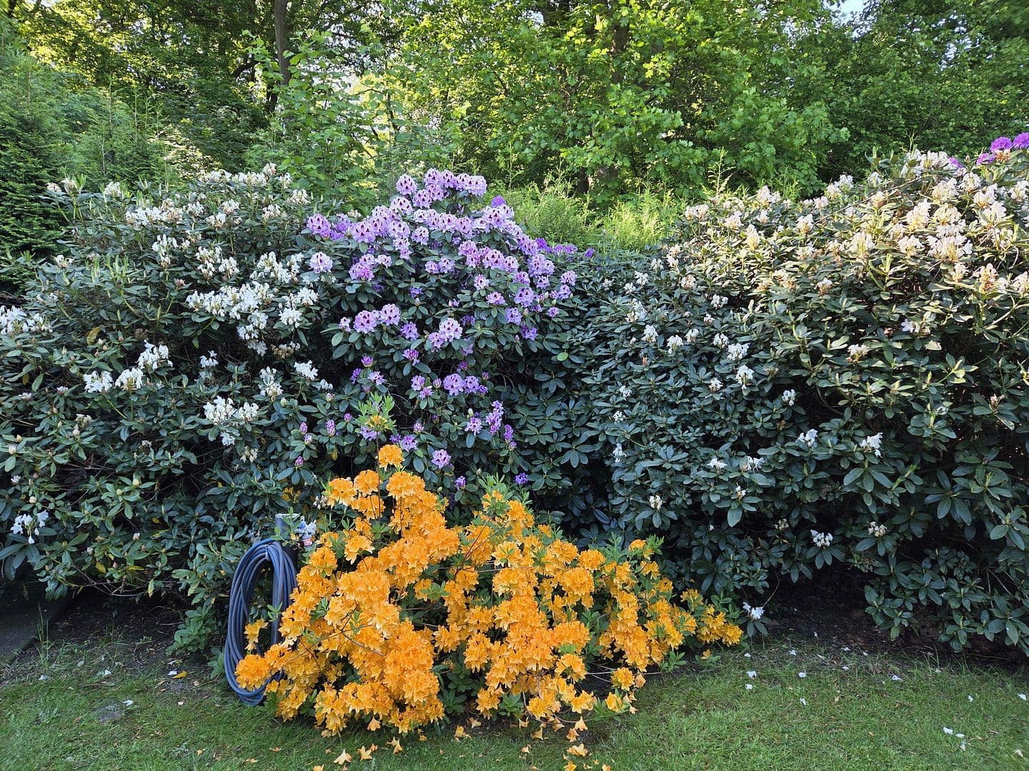 house for sale, 273 m², August-Schmidt-Straße 6, Gladbeck, North Rhine-Westphalia house for sale, 273 m², August-Schmidt-Straße 6, Gladbeck, North Rhine-Westphalia