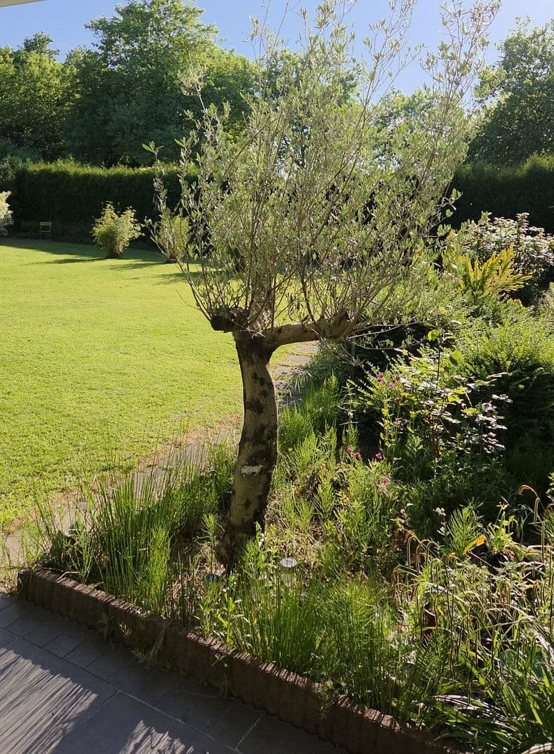 house for sale, 273 m², August-Schmidt-Straße 6, Gladbeck, North Rhine-Westphalia house for sale, 273 m², August-Schmidt-Straße 6, Gladbeck, North Rhine-Westphalia