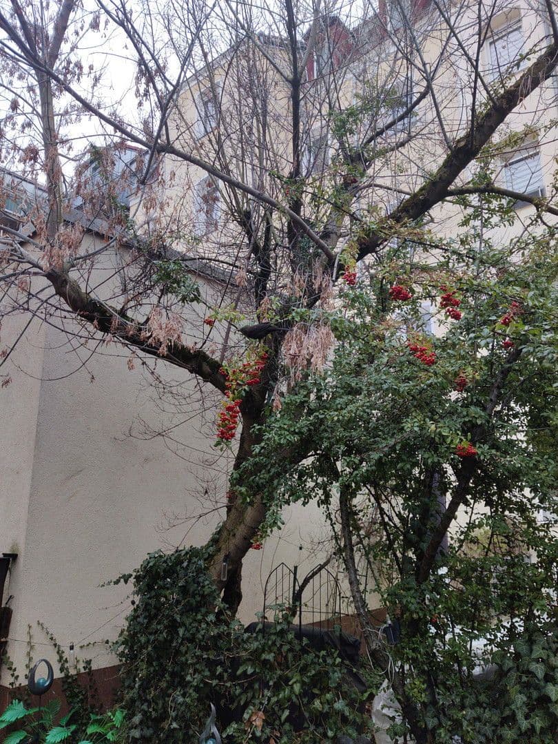 2 bedroom flat for sale, 60 m², Fürth, Bavaria 2 bedroom flat for sale, 60 m², Fürth, Bavaria