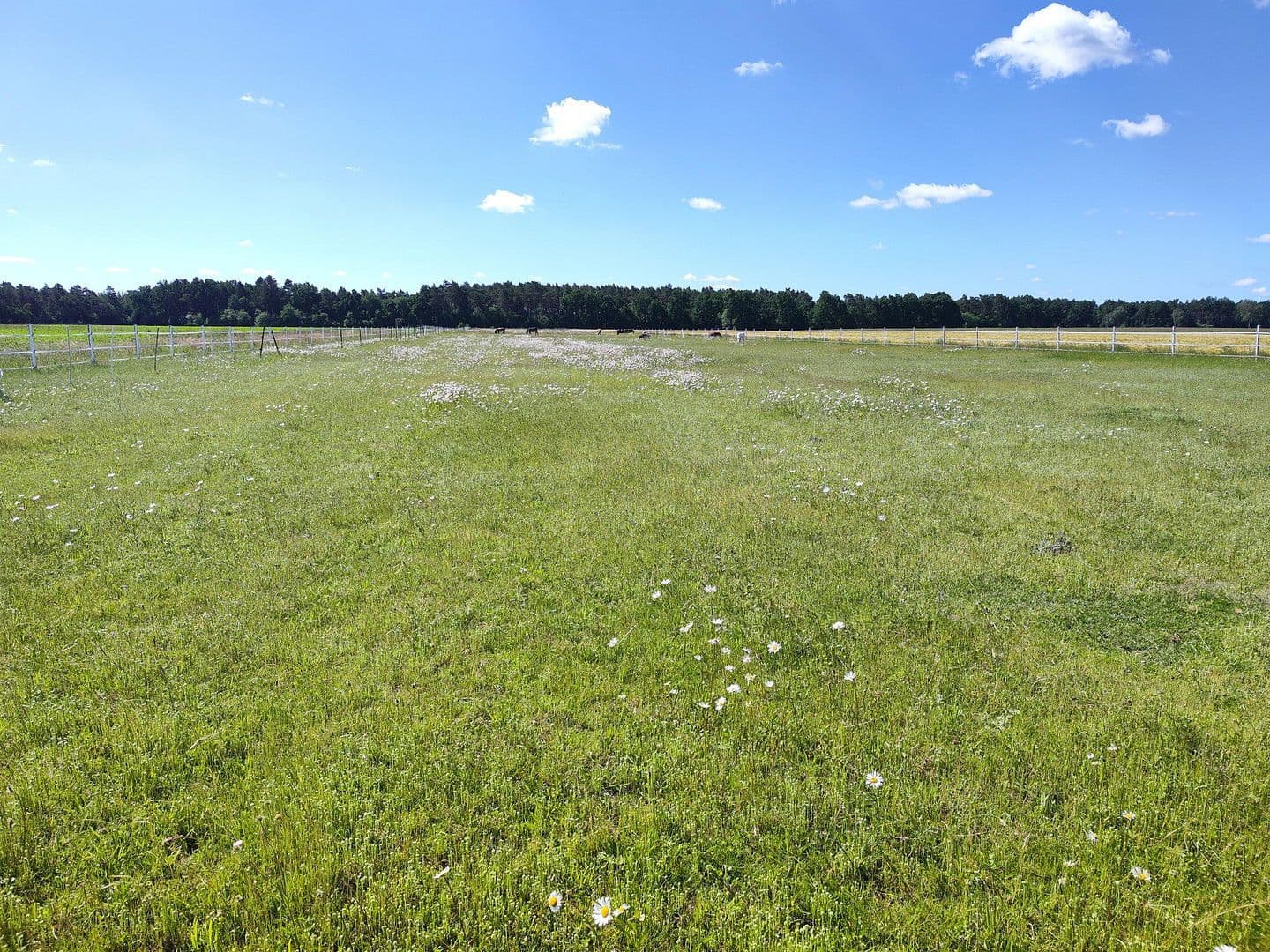 plot for sale, 200 m², Langer Hagen 16, Dedelstorf, Lower Saxony plot for sale, 200 m², Langer Hagen 16, Dedelstorf, Lower Saxony