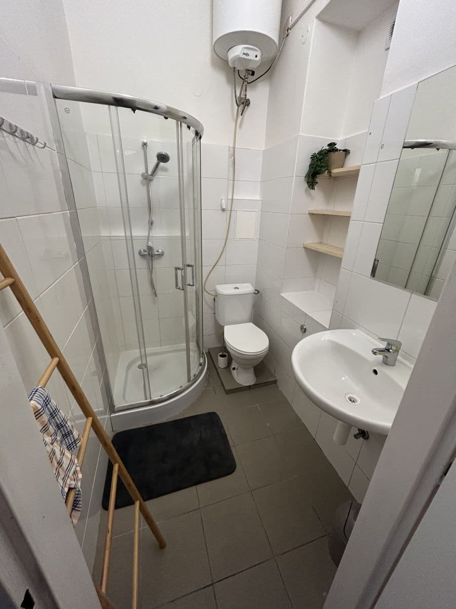 flat to rent, 0 m², Nuselská, Prague, Prague flat to rent, 0 m², Nuselská, Prague, Prague