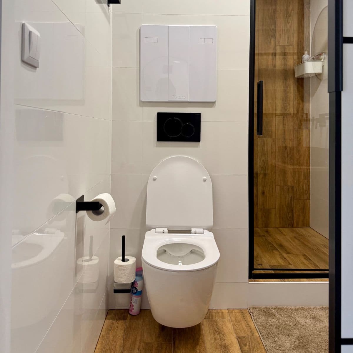 1 bedroom with open-plan kitchen flat to rent, 45 m², Seidlova, Prague, Prague 1 bedroom with open-plan kitchen flat to rent, 45 m², Seidlova, Prague, Prague