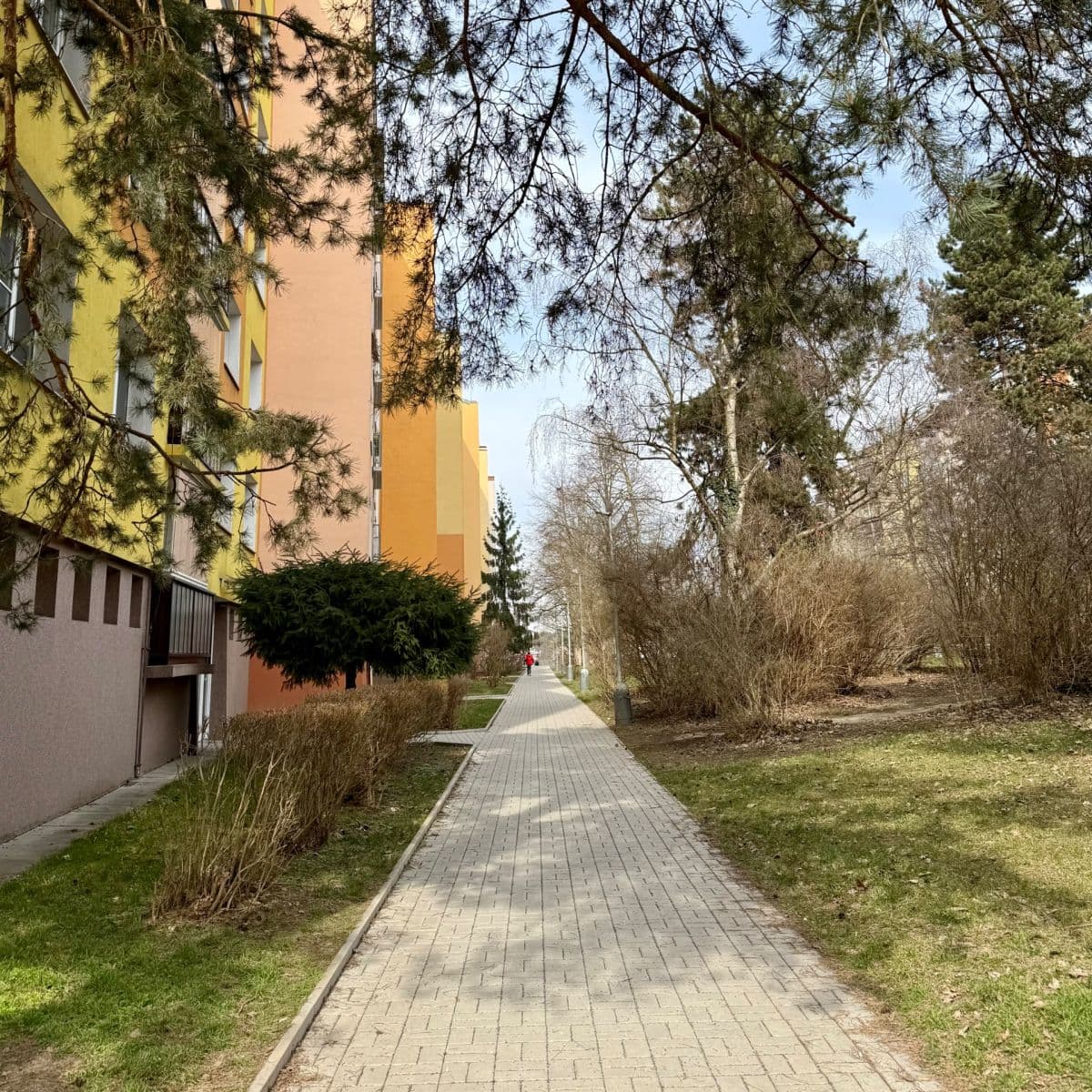 1 bedroom with open-plan kitchen flat to rent, 45 m², Seidlova, Prague, Prague 1 bedroom with open-plan kitchen flat to rent, 45 m², Seidlova, Prague, Prague