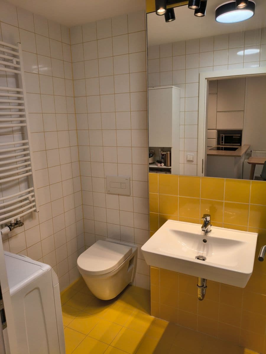 1 bedroom with open-plan kitchen flat to rent, 51 m², Poděbradská, Prague, Prague 1 bedroom with open-plan kitchen flat to rent, 51 m², Poděbradská, Prague, Prague